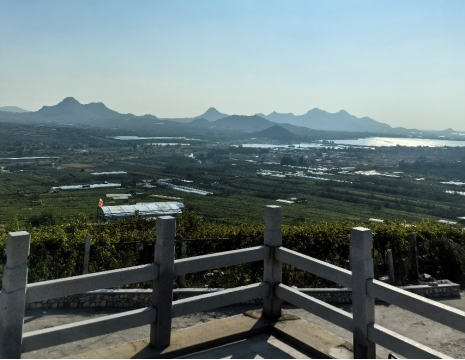平度大澤山葡萄園引進(jìn)萊恩德土壤肥料檢測(cè)儀， 輕松掌握土壤營(yíng)養(yǎng)